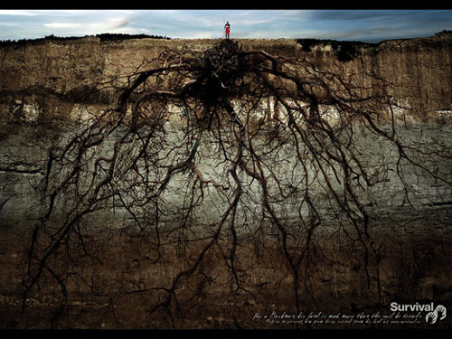 survival-international