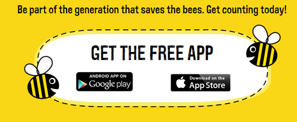 bee-app