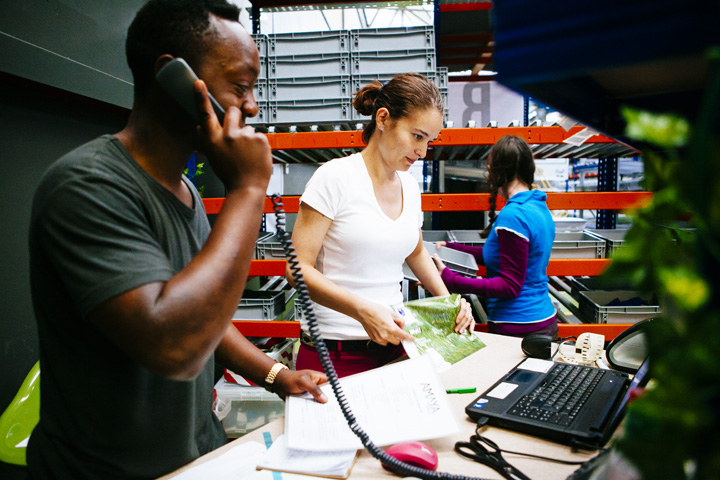 rapanui factory inside