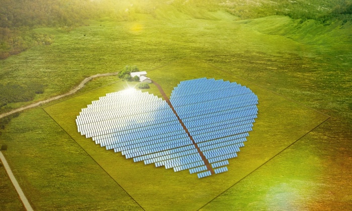 solar farm