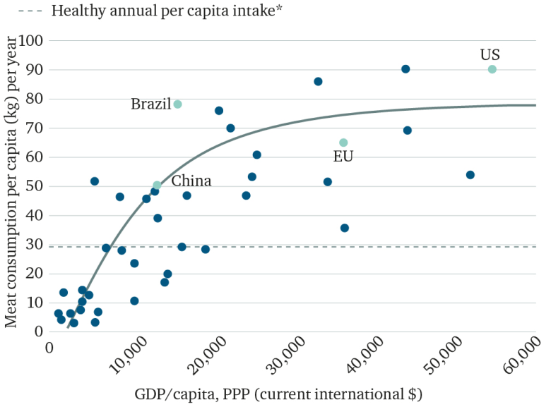 meat consumption and income