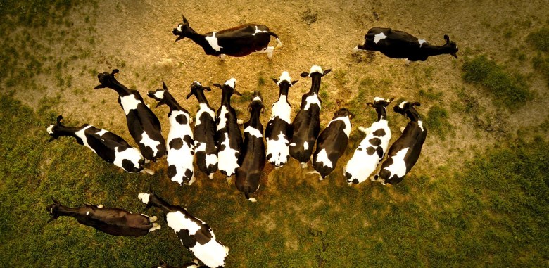 The other population&nbsp;crisis