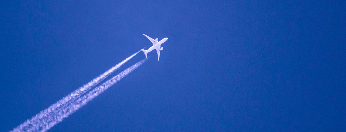 Positive travel experiences with Flight Free&nbsp;Schools