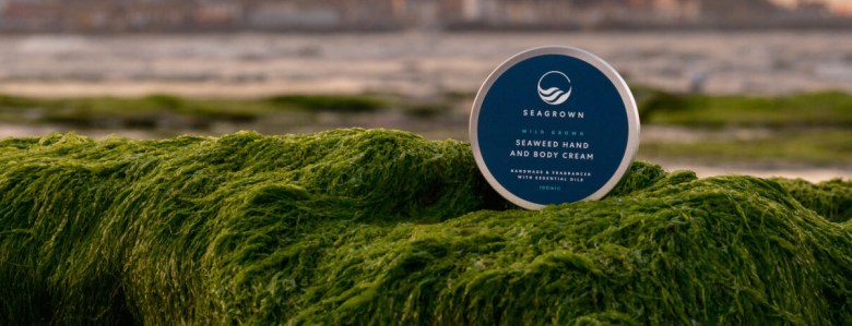 Ocean farming comes to&nbsp;Britain