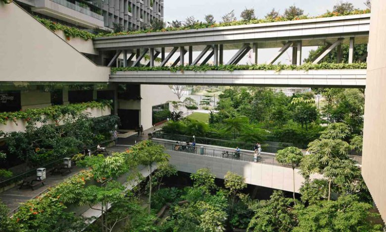 biophilic-hospital-1