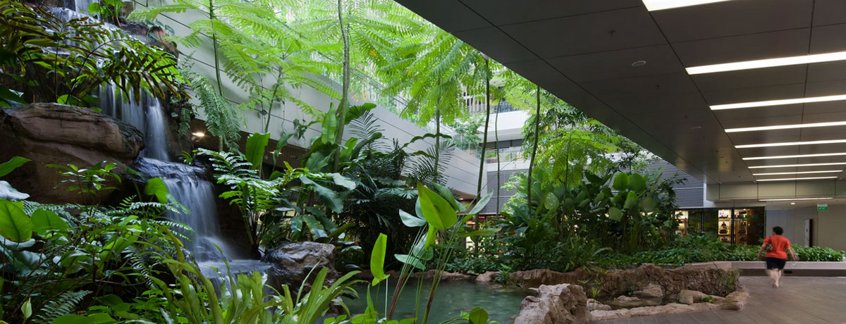 Building of the week: Khoo Teck Puat&nbsp;Hospital