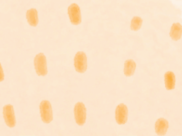 Book review: All We Can&nbsp;Save