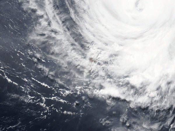 Two actions to take on loss and&nbsp;damage