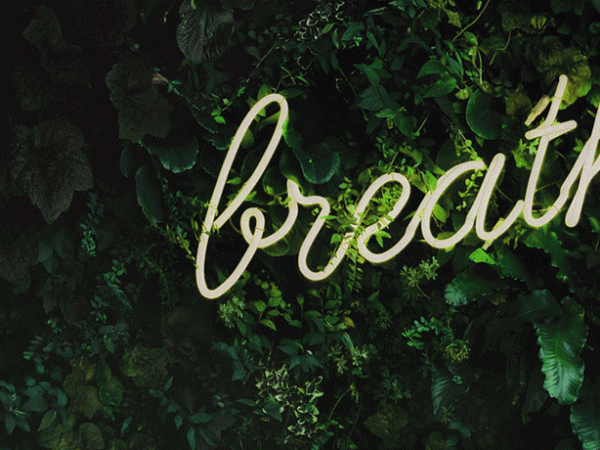 Book review: Breathless, by Chris&nbsp;Woodford