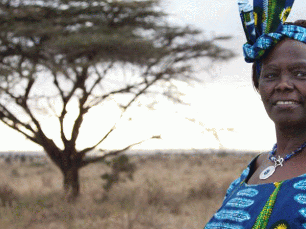 What we can learn from Wangari&nbsp;Maathai