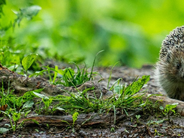 Guest post: What’s the opposite of&nbsp;neoliberalism?