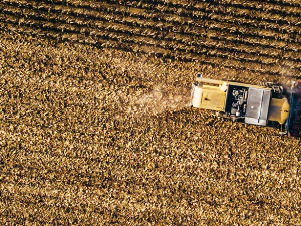 Ukraine and the coming global food&nbsp;crisis