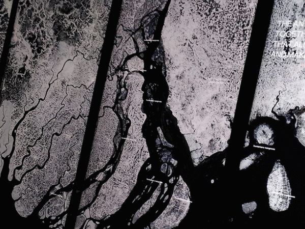 Art review: Our Time on Earth, the&nbsp;Barbican