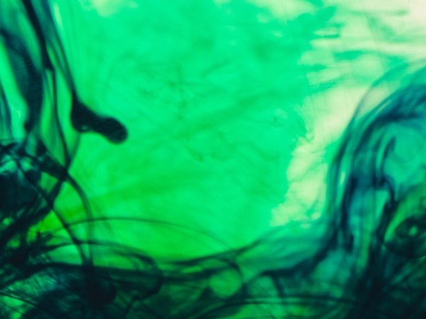 The past, present and future of&nbsp;eco-fascism