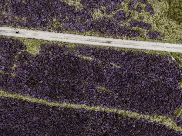 The UK is still burning&nbsp;peatland