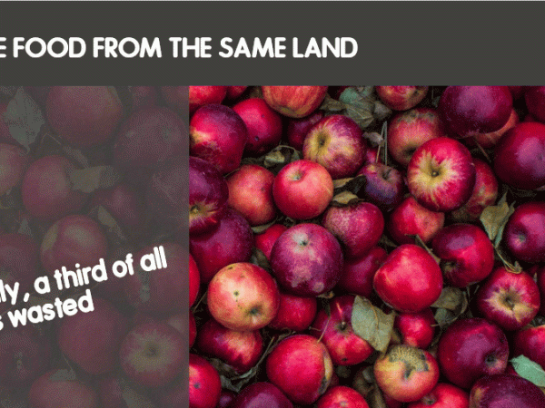 More food from the same&nbsp;land