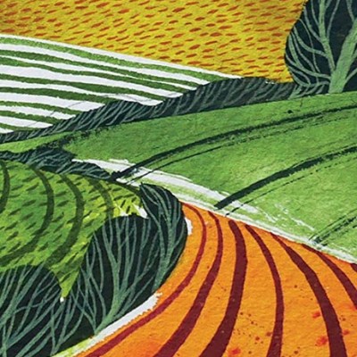 Book review: Rooted, by Sarah&nbsp;Langford
