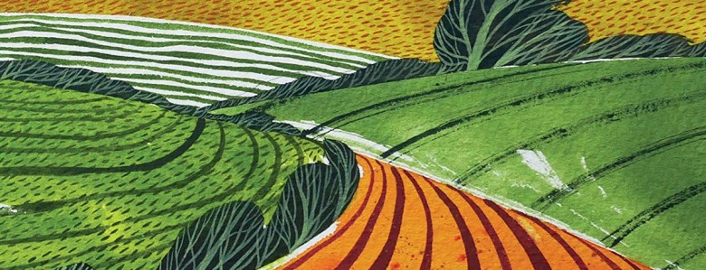 Book review: Rooted, by Sarah&nbsp;Langford