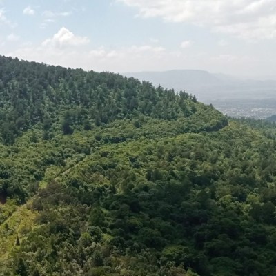 Can you stand with me for the Kijabe&nbsp;Forest?
