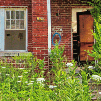 Islands of Abandonment, by Cal&nbsp;Flyn