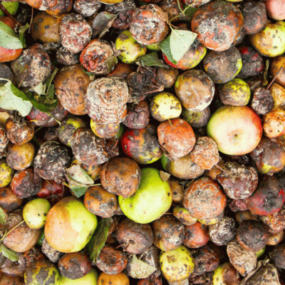The complex story of Britain’s food&nbsp;waste