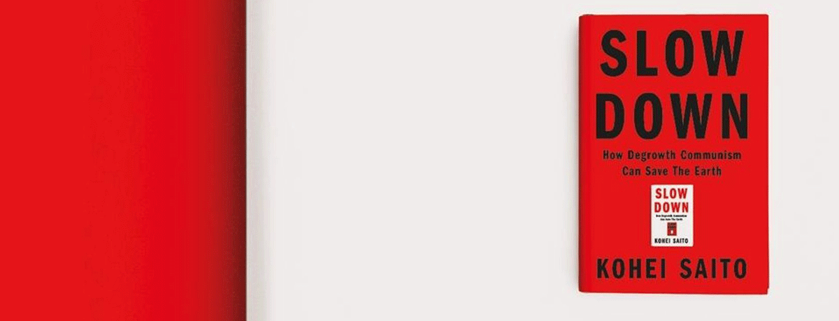 Book review: Slow Down, by Kohei Saito – The Earthbound Report