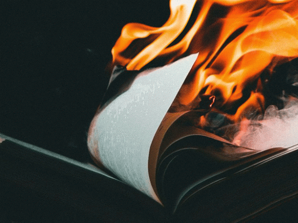 Book review: Enshittification, by Cory&nbsp;Doctorow