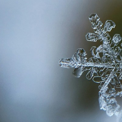 Book review: Snö, by Sverker&nbsp;Sörlin