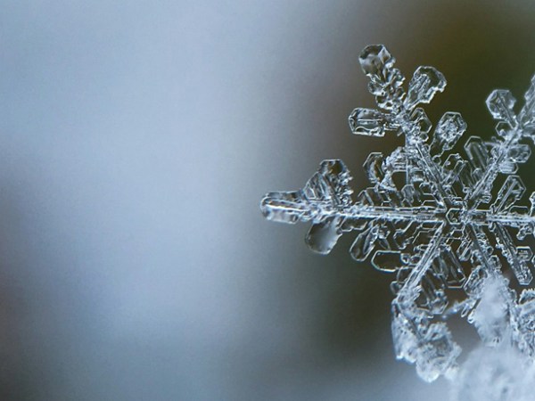 Book review: Snö, by Sverker&nbsp;Sörlin