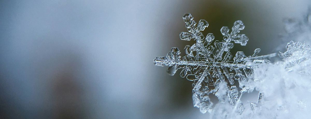 Book review: Snö, by Sverker&nbsp;Sörlin