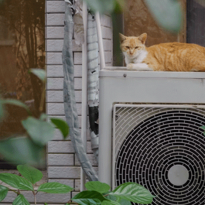 Would you like to visit a heat&nbsp;pump?