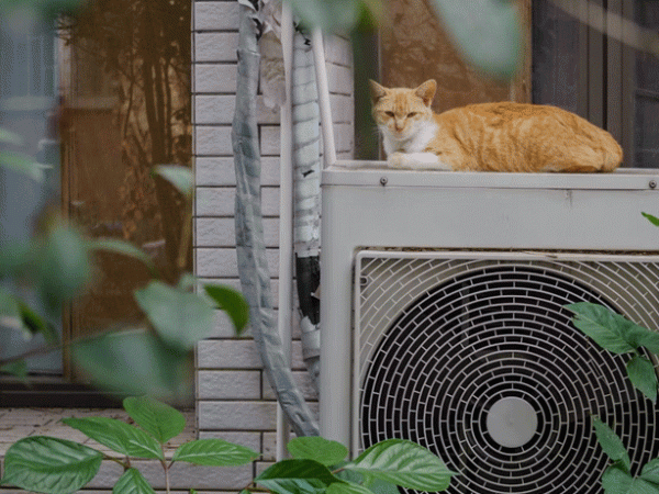 Would you like to visit a heat&nbsp;pump?