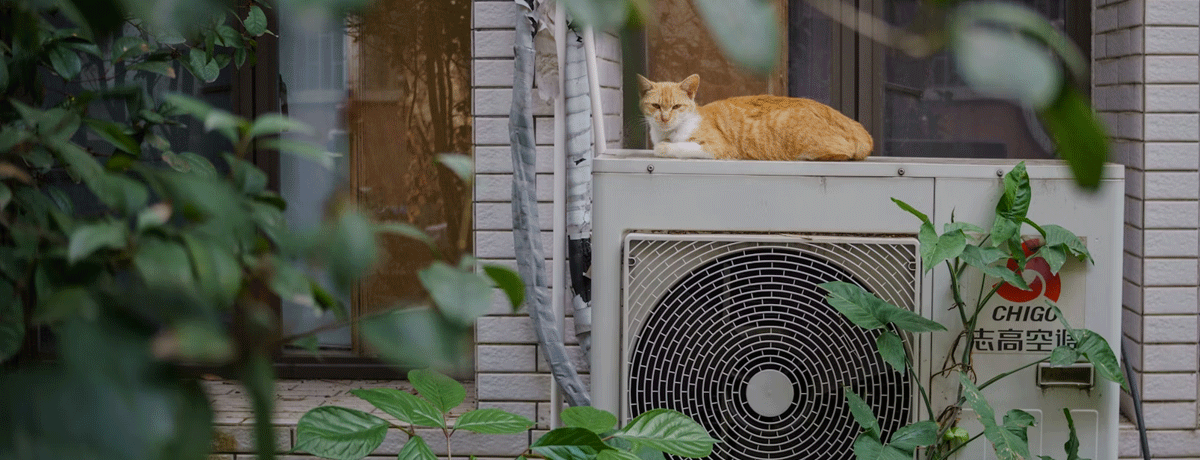 Would you like to visit a heat&nbsp;pump?