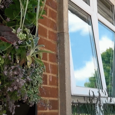 Catch up with Luton’s green&nbsp;schools