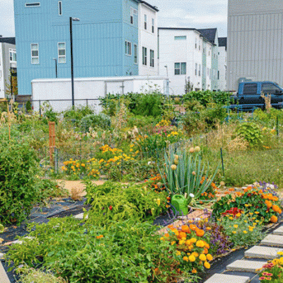 How to run projects that create bigger&nbsp;change