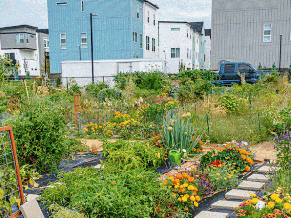 How to run projects that create bigger&nbsp;change