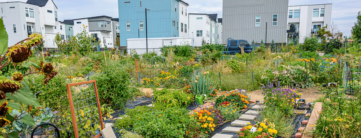 How to run projects that create bigger&nbsp;change